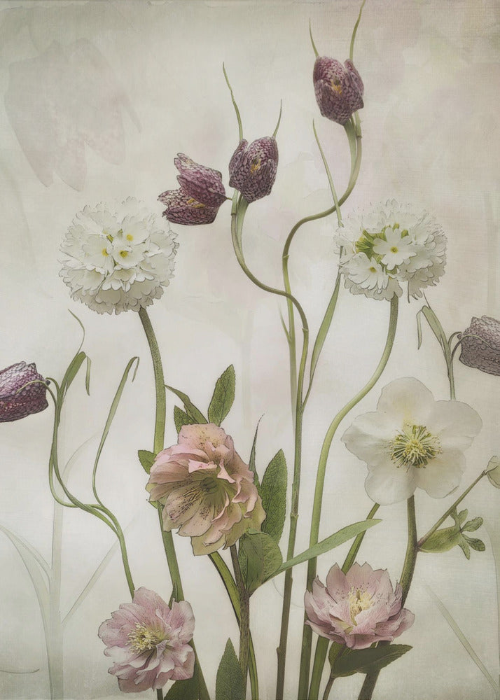 Jardin de printemps