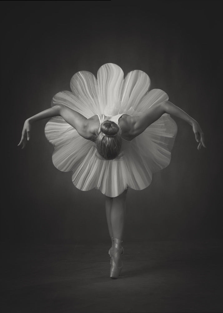 Art mural : Ballet floral