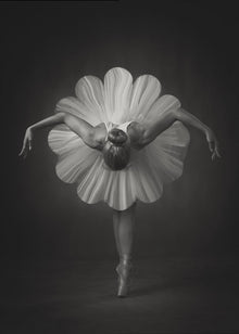Art mural : Ballet floral