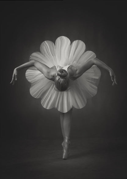 Art mural : Ballet floral