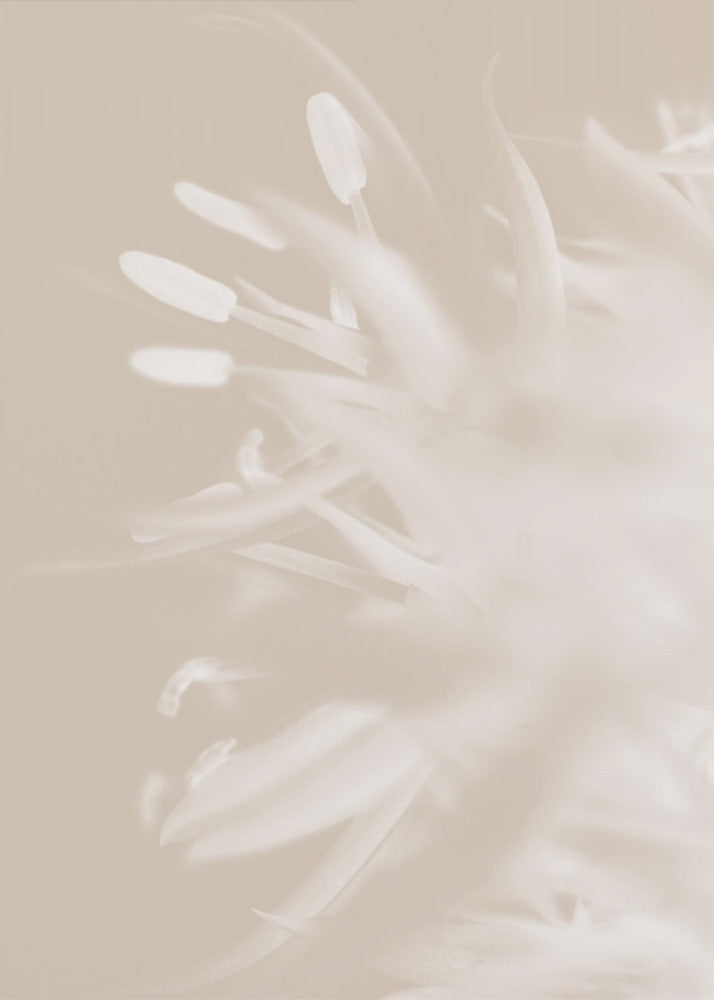Art mural Fleur Beige_1