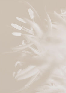 Art mural Fleur Beige_1