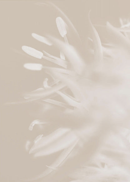 Art mural Fleur Beige_1