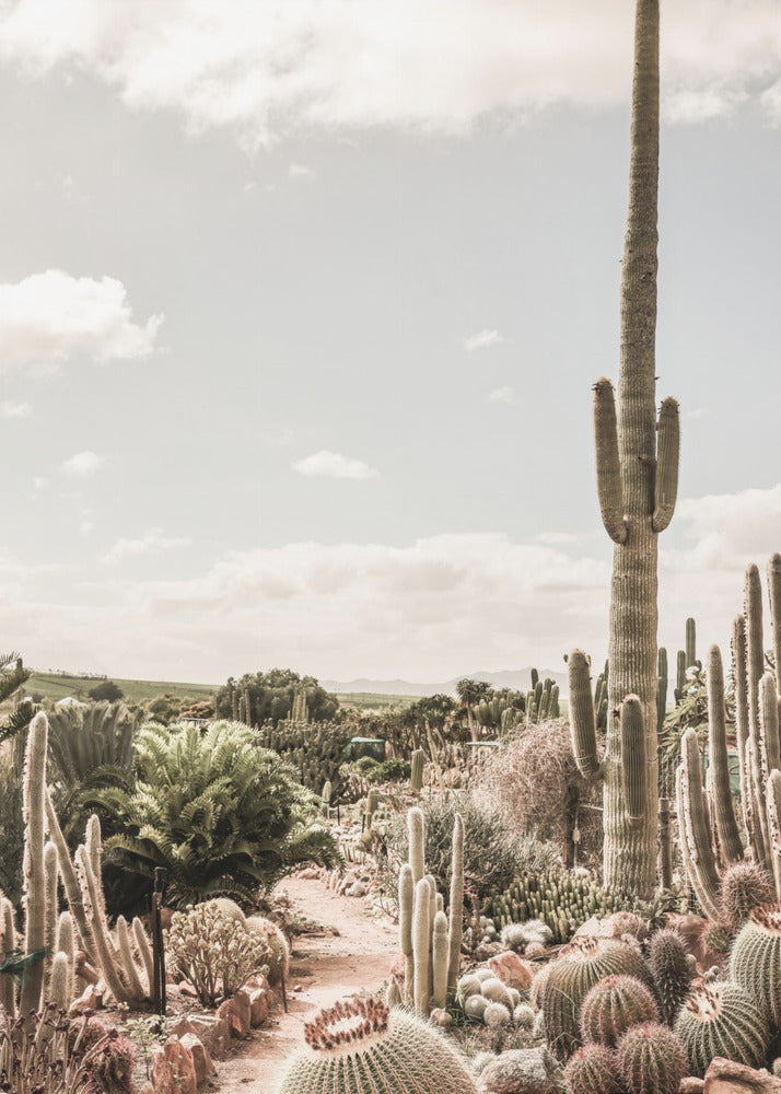 Wall art Cactus Farm