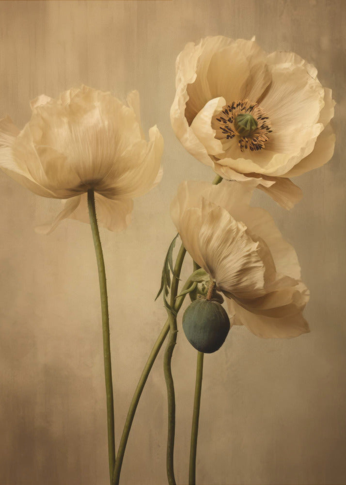 Art mural Coquelicots 24