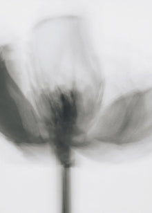 Art mural Tulipe monochrome