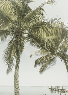 Décoration murale FLORIDE Lieu paradisiaque | Vintage