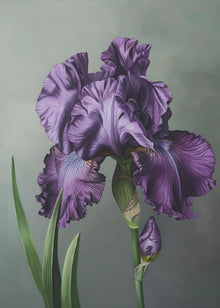 Décoration murale Iris Fl 18