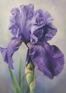 Décoration murale Iris Fl 100