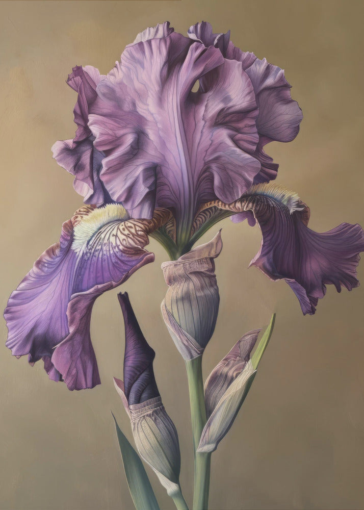 Décoration murale Iris Fl 101