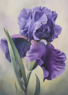 Décoration murale Iris Fl 110