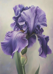 Décoration murale Iris Fl 113
