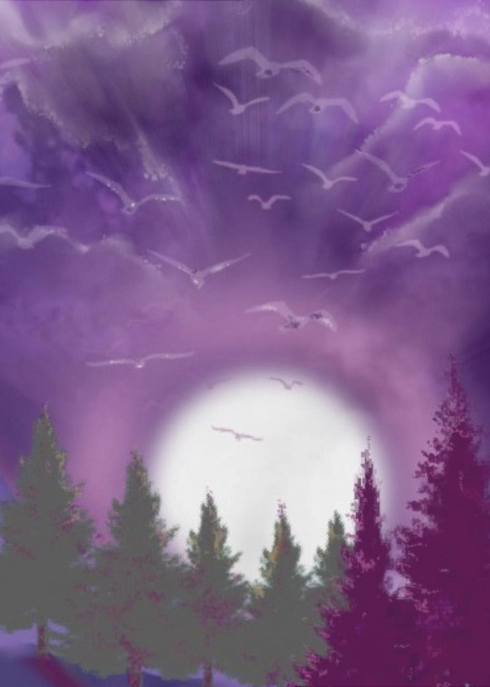Décoration murale LUNE DANS UN CIEL VIOLET Impression sur toile