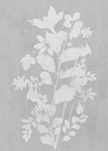 Décoration murale Illustration botanique 2