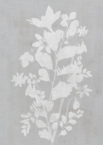 Décoration murale Illustration botanique 2