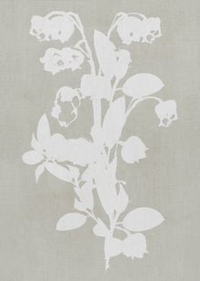 Wall art Botanical Illustration 4