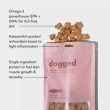 friandises de saumon lyophilisé pour chiens