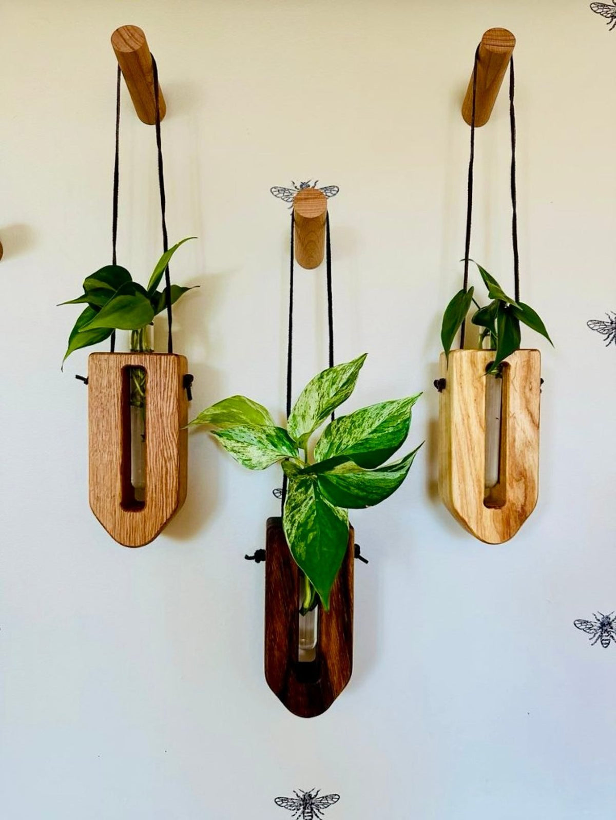 Propagation Stations