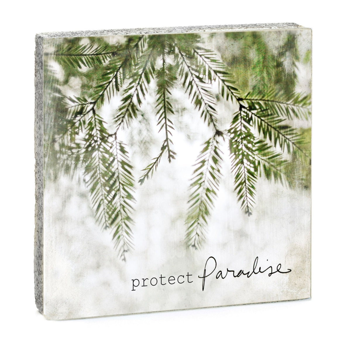 Art Block - Lost & Found - Protect Paradise