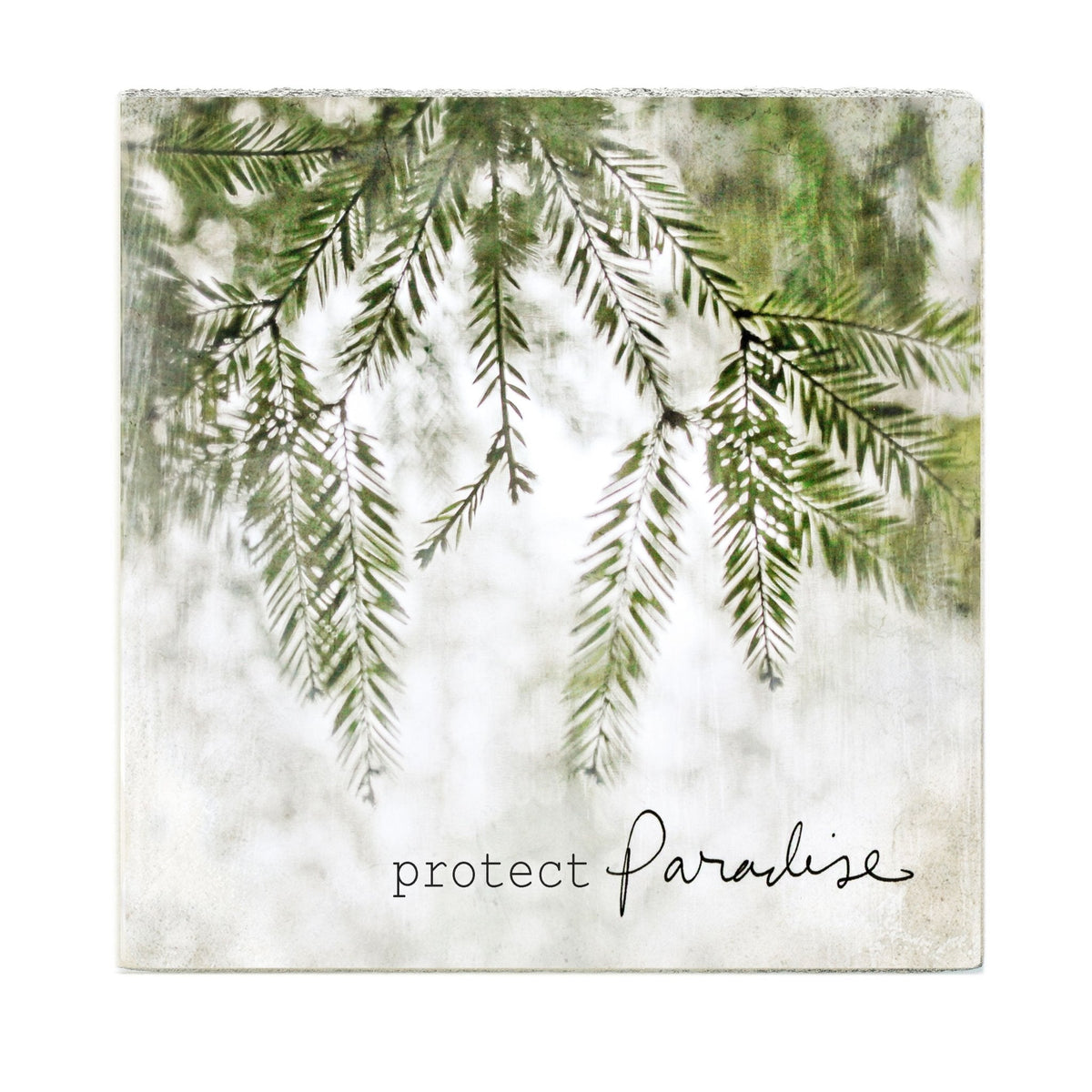Art Block - Lost & Found - Protect Paradise