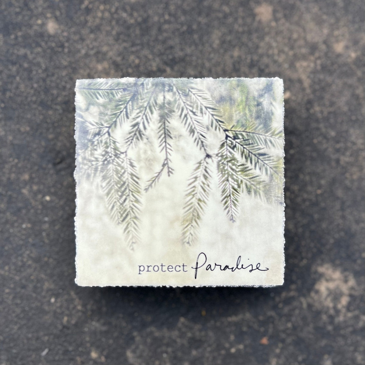 Art Block - Lost & Found - Protect Paradise