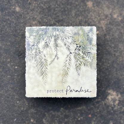 Art Block - Lost & Found - Protect Paradise