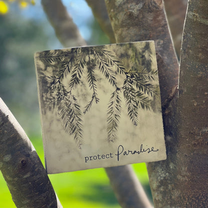 Art Block - Lost & Found - Protect Paradise