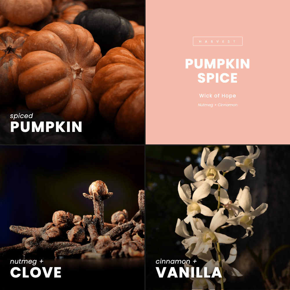 Pumpkin Spice Candle | Nutmeg + Cinnamon