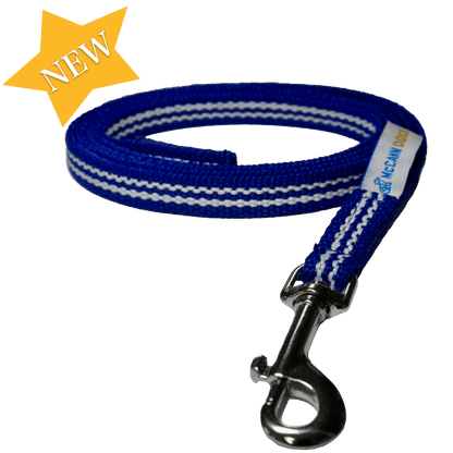 Puppy Training House-Line