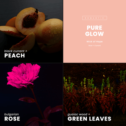 Pure Glow Candle | Rose + Currant