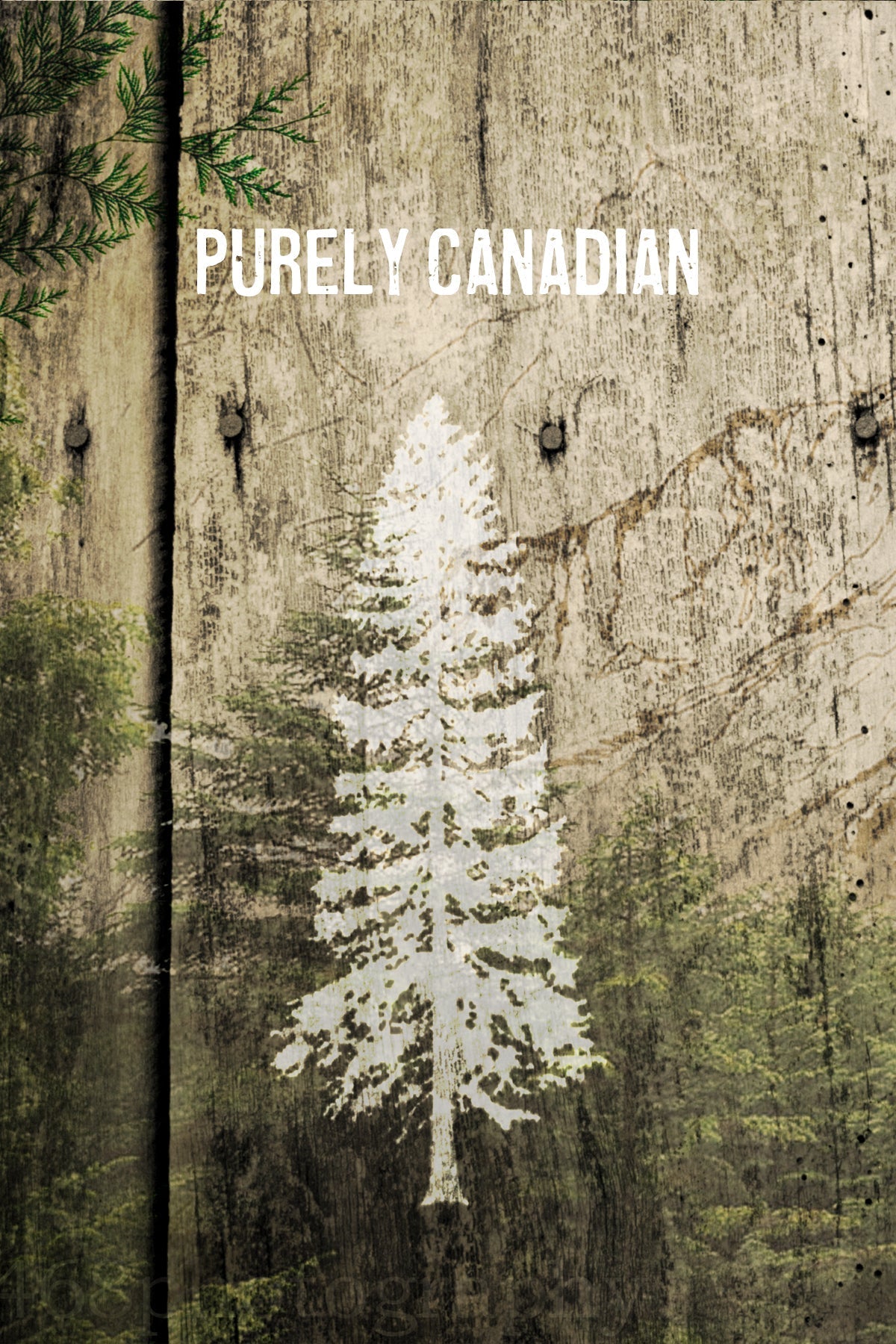 Wood Postcard - Purely Canadian