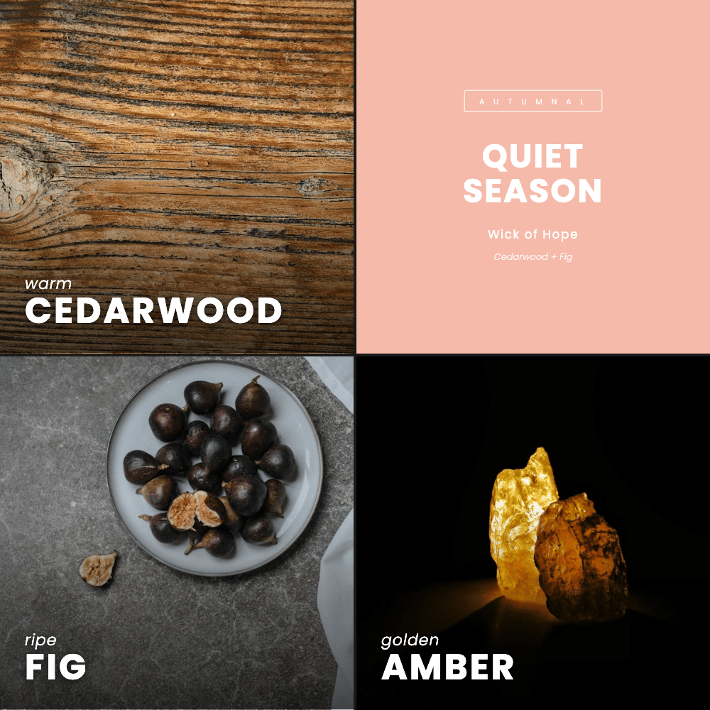 Quiet Season Candle | Cedarwood + Fig