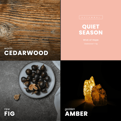 Quiet Season Candle | Cedarwood + Fig