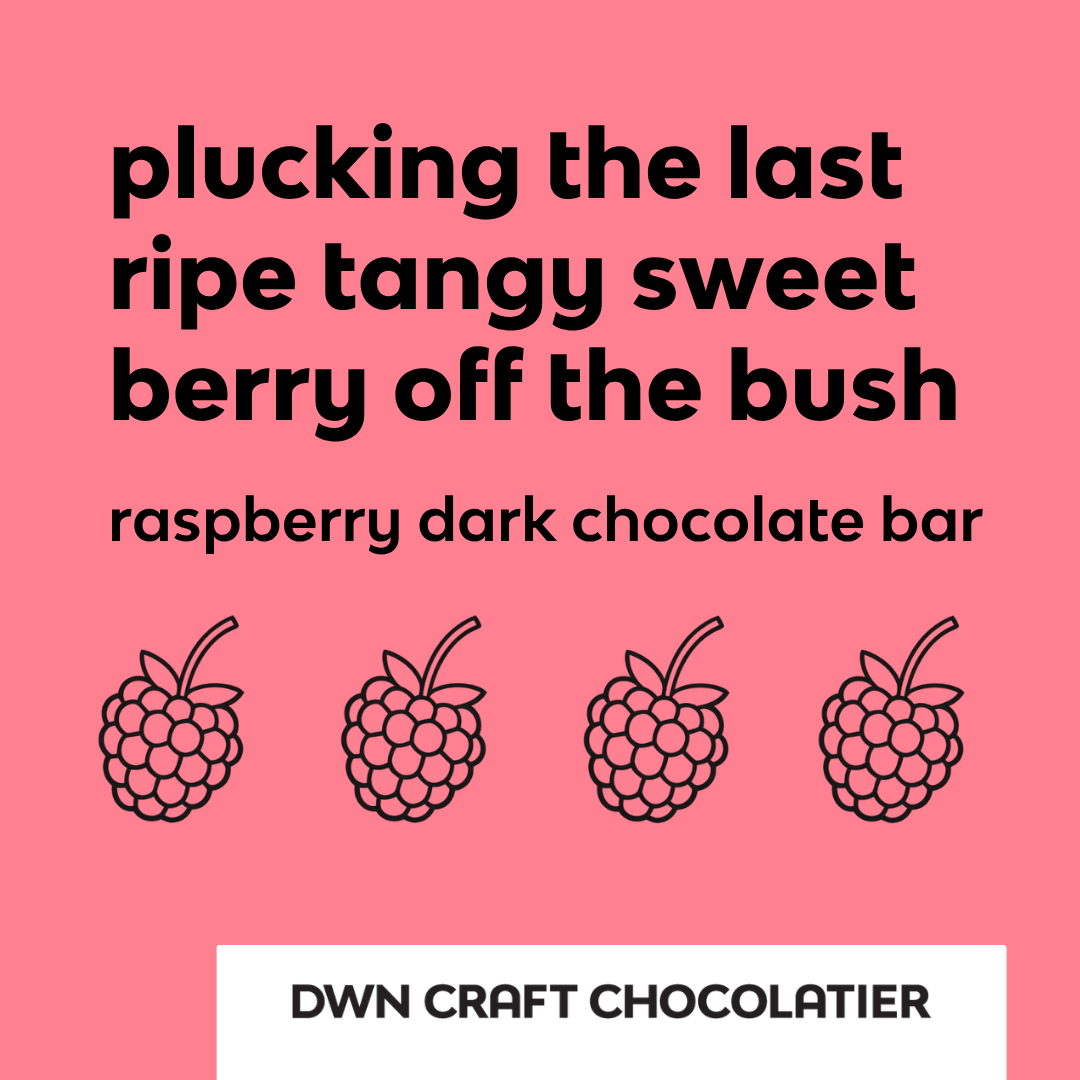 Barre chocolat noir framboise