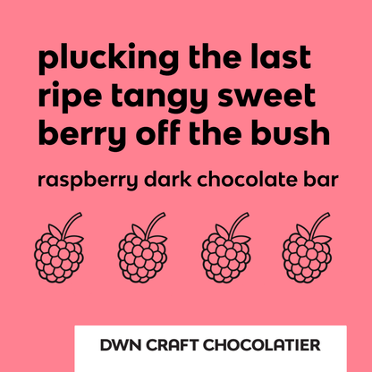 Barre chocolat noir framboise