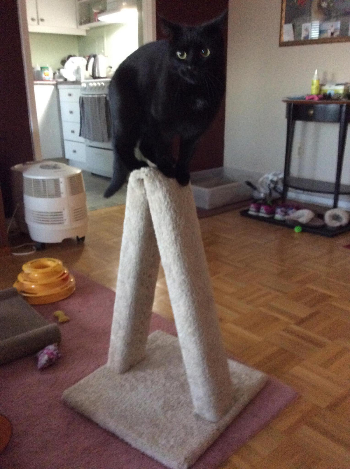 Model 12 - 23" A-Frame Scratch Post.