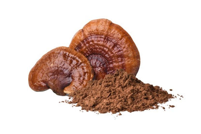Organic Reishi Mushroom Powder