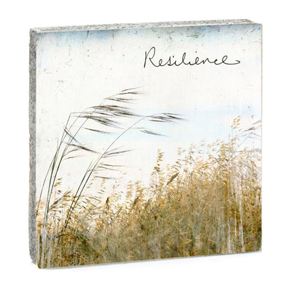 Art Block - Lost & Found - Resilience