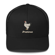 Casquette Trucker Brahma