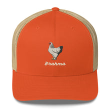Casquette Trucker Brahma