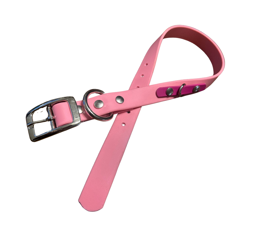 Special Offer on 1" Standard BioThane Dog Collar - Handmade in Quebec