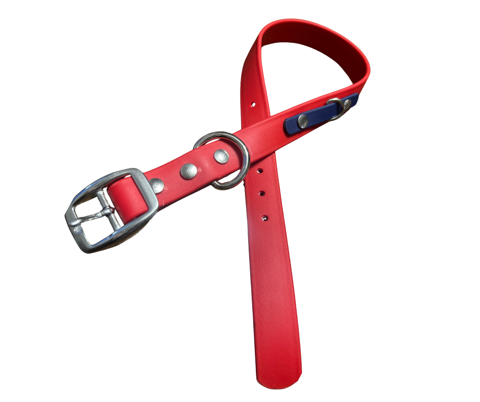 Special Offer on 1" Standard BioThane Dog Collar - Handmade in Quebec