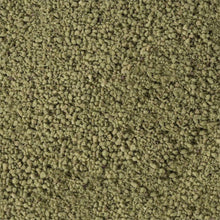 Matcha Émietté Sec - Seau de 3 KG - Rubicone Canada - Livraison Gratuite au Canada pour les Commandes Supérieures à 199 CAD