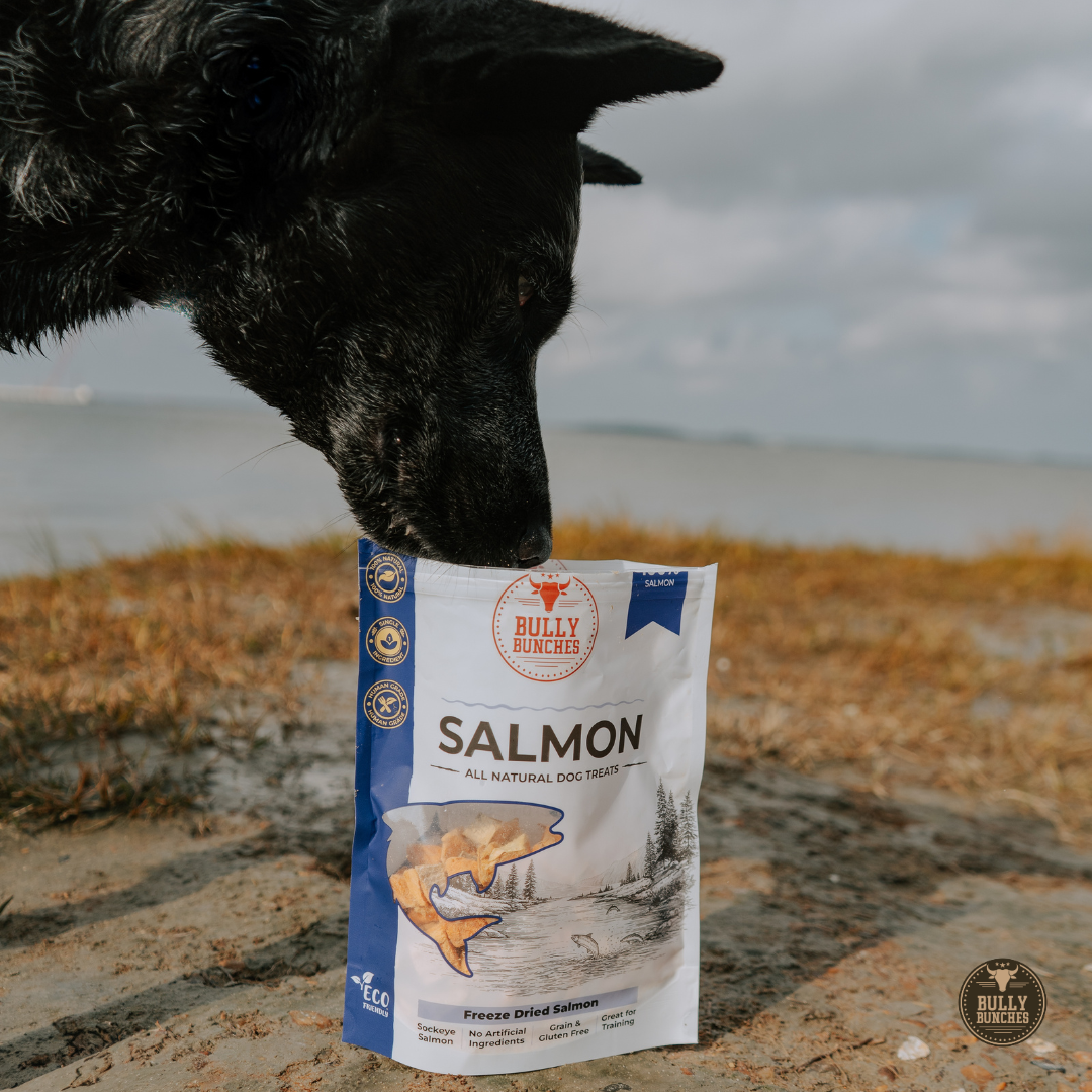 Saumon lyophilisé 100g / 3,5oz