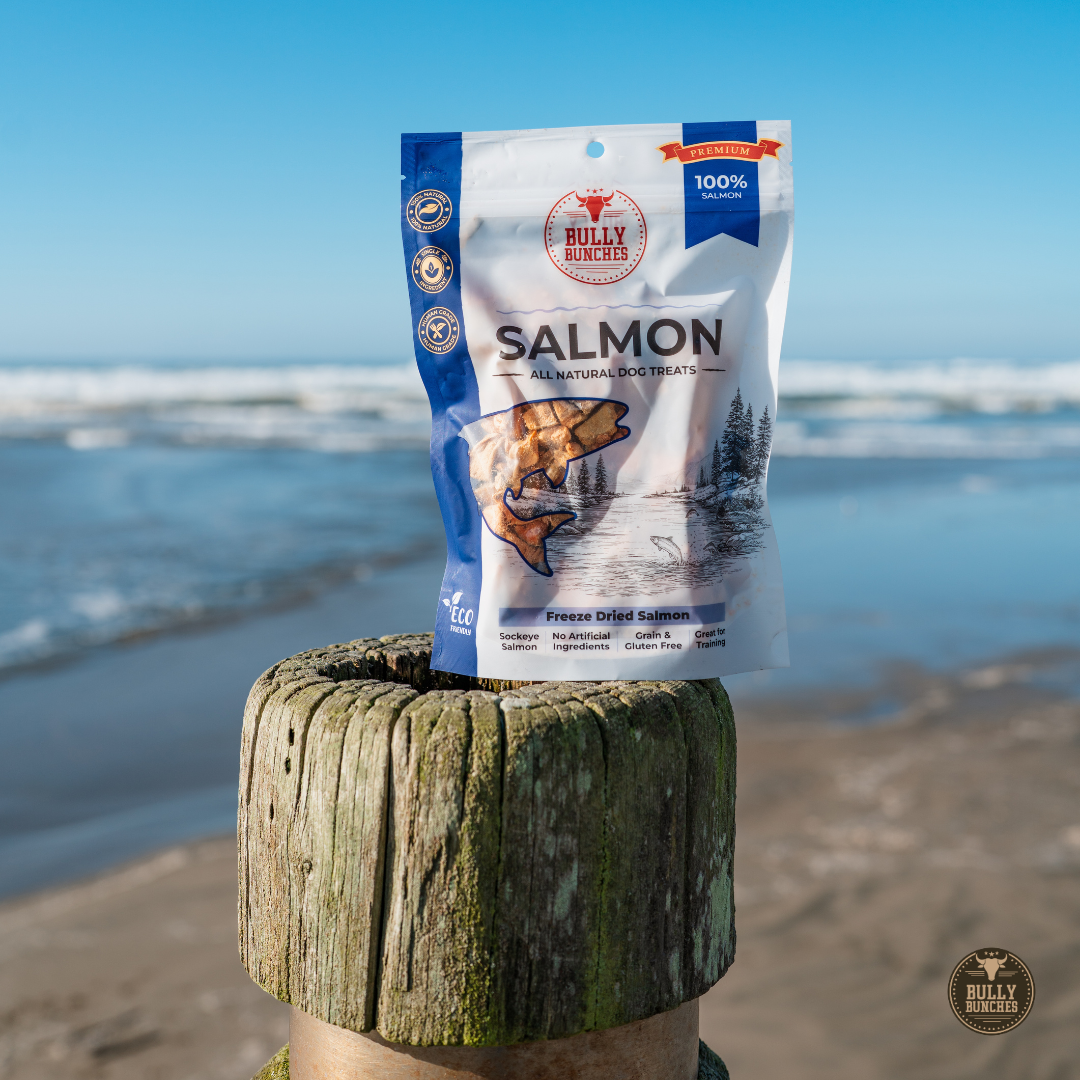 Saumon lyophilisé 100g / 3,5oz