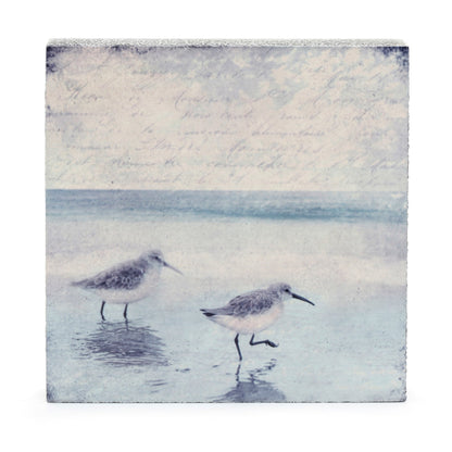 Art Block - Lost & Found - Sandpipers