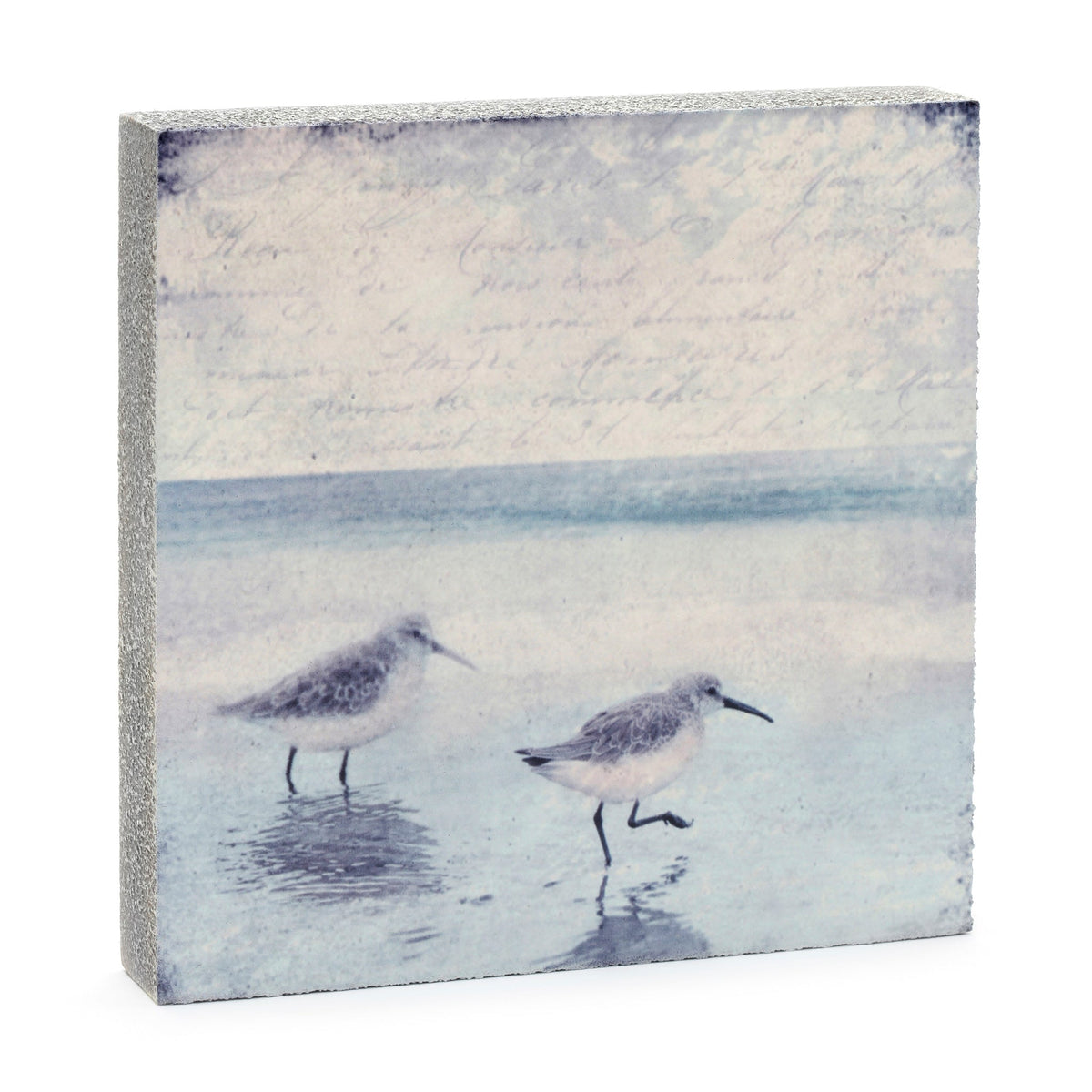 Art Block - Lost & Found - Sandpipers