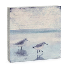 Art Block - Lost & Found - Sandpipers