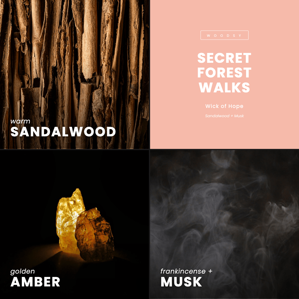 Secret Forest Walks Candle | Sandalwood + Musk