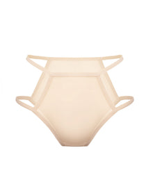 Sheer Mesh Briefs, Teja